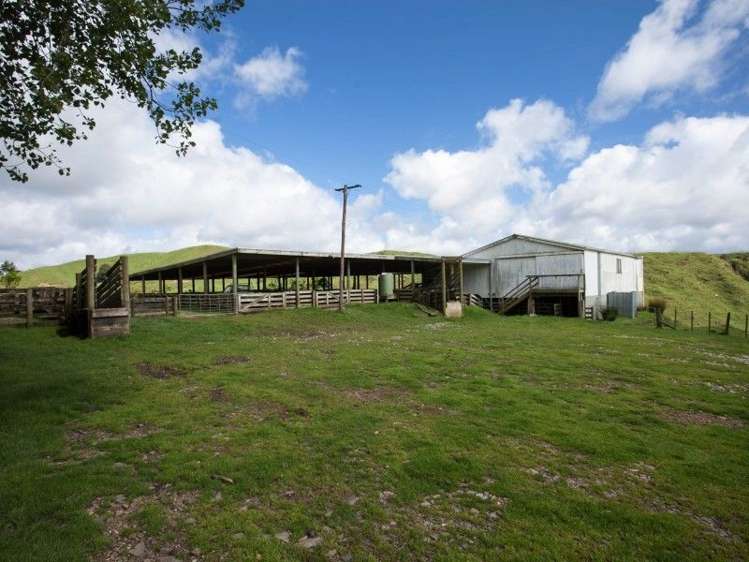 450 Ngapaenga Road Pomarangai_9