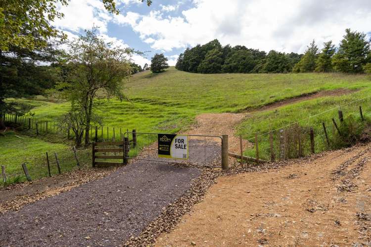 229 Hupara Road Pakaraka_16