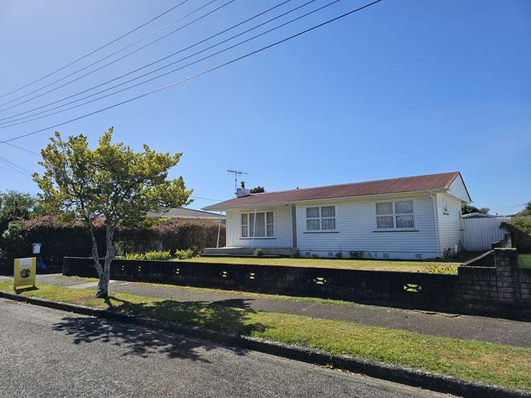 40 Elizabeth Street Levin_13