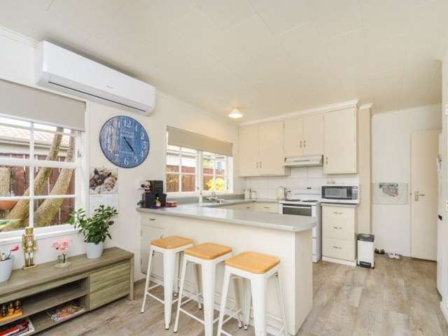 61a Manawatu Street 2138_1