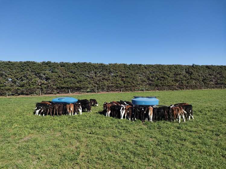 134 Longbeach Road Willowby_23