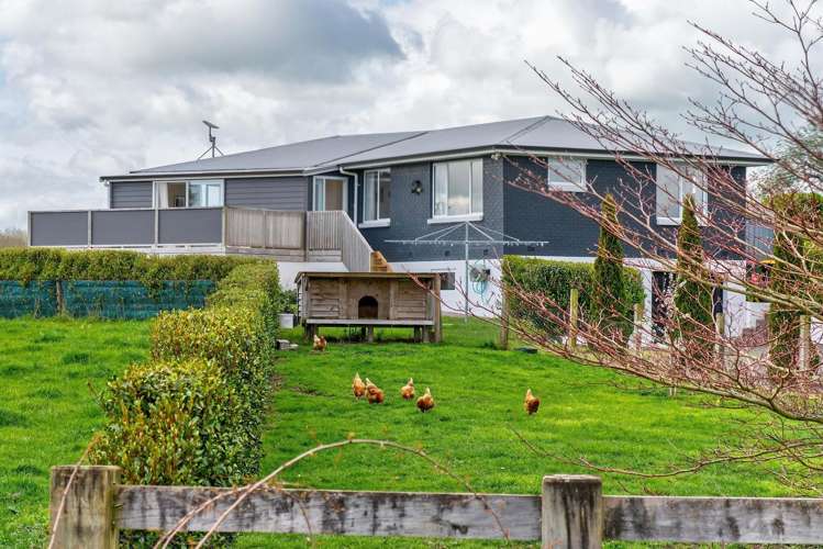 15 Mill Road ōhaupō_20