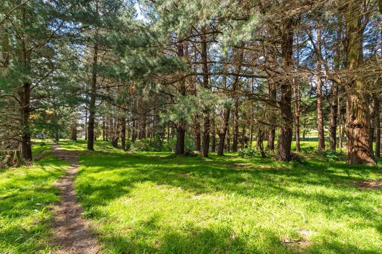 839 Whangaehu Valley Road Whangaehu Valley_32