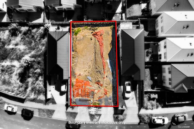 55 Joseph Street Flat Bush_2