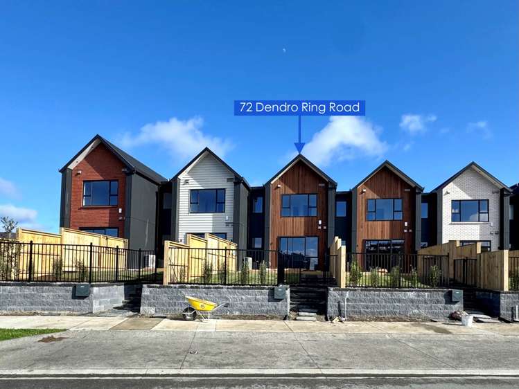 72 Dendro Ring Road_0