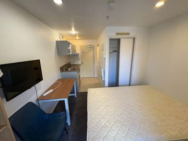 3a/113 Vincent Street City Centre_2