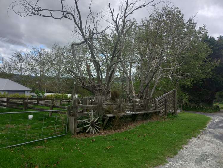 1161b Kaiwaka-Mangawhai Road Mangawhai_25