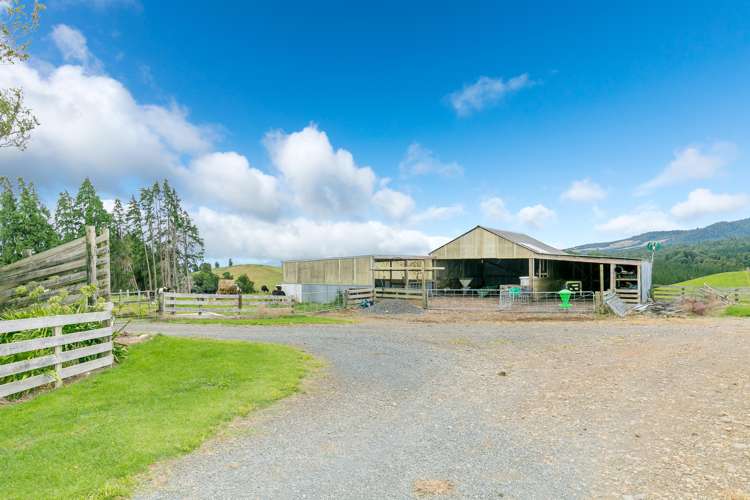 471 Sainsbury Road Pirongia_3