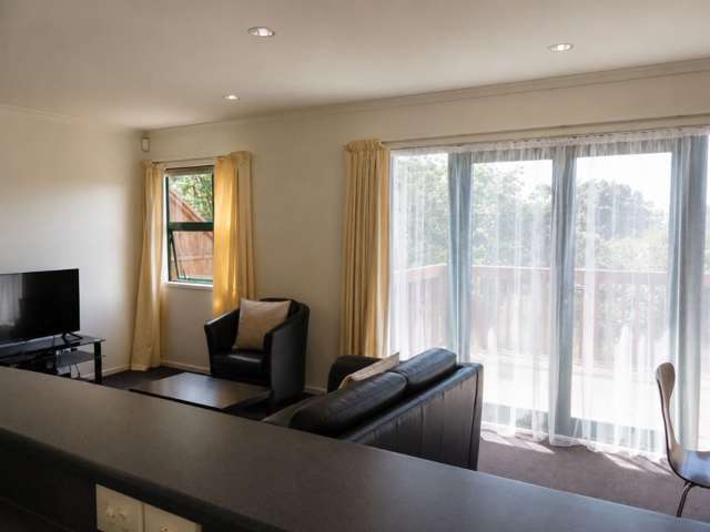 6/3 Malcolm Lane Thorndon_2