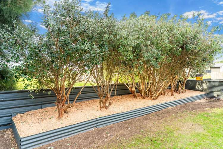 15 Liverpool Street Dargaville_6