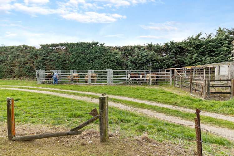 102 Levels Plain Road Levels_9