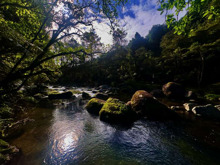 717 Wright Road Aongatete_6