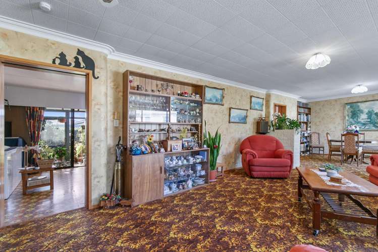 164 Winchester Street Levin_6