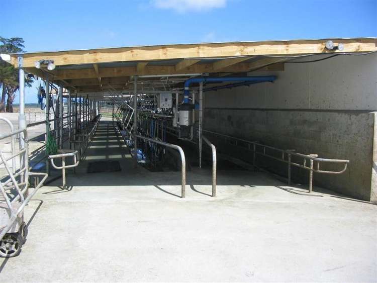 73 West Road Awanui_6