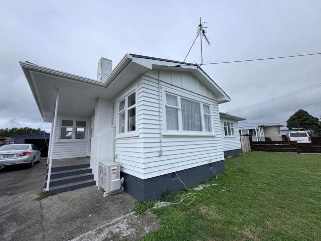22 Ferguson Street Levin_1