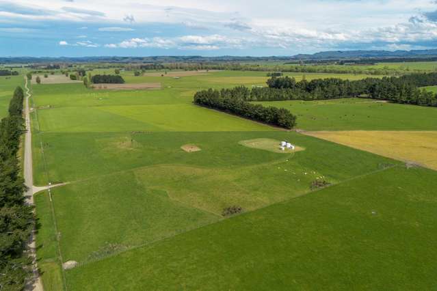 162 Taylor Road Ongaonga_4