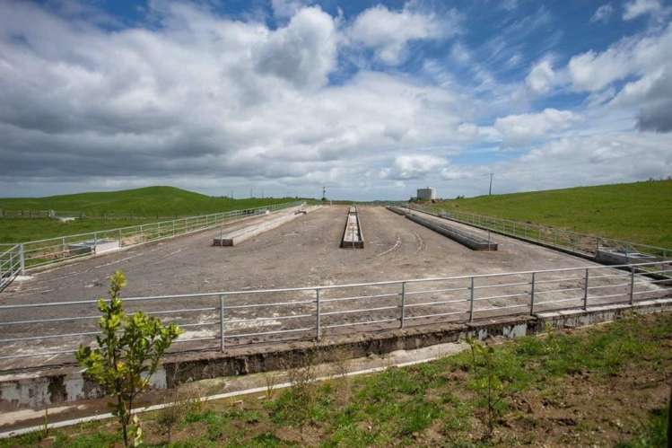 1308 Mossop Road Kinleith_5