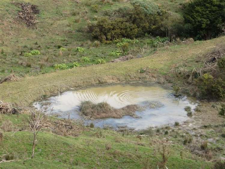 565 Bickerstaffe Road Maungaturoto_15