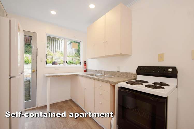 11 Cortina Avenue Johnsonville_18