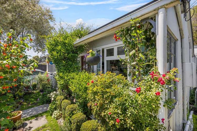 40 Hargest Crescent Sydenham_1