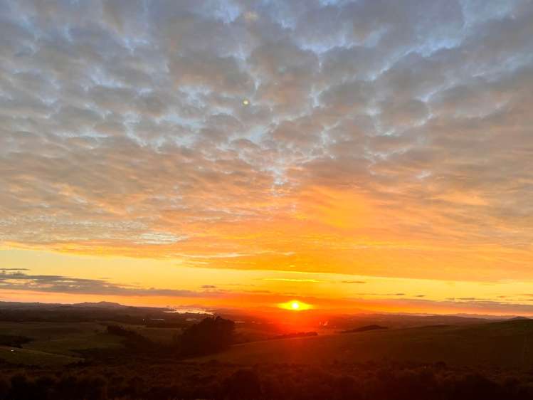 136 Ridge Way Kerikeri Surrounds_23