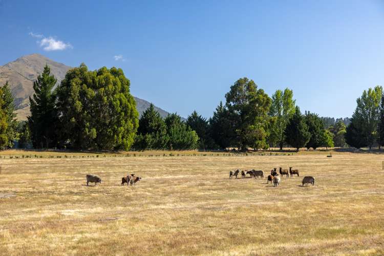 71 Seven Lane Wanaka_8