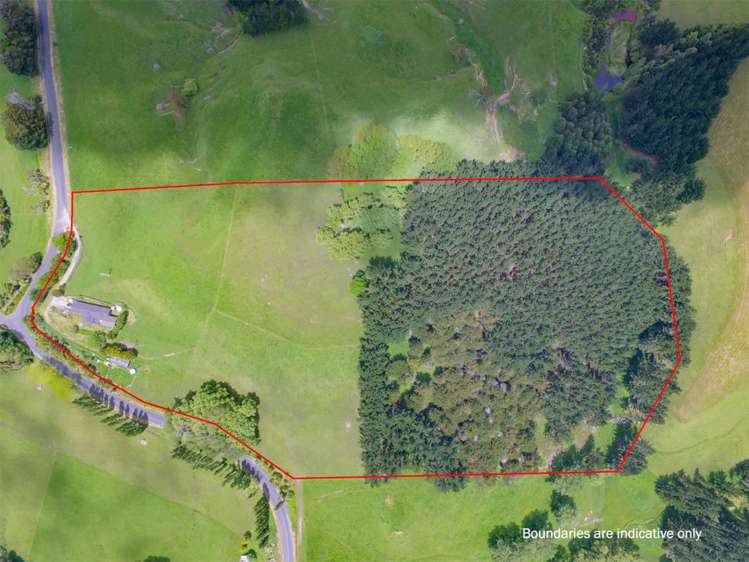 121 Bain Road Ruawaro_18