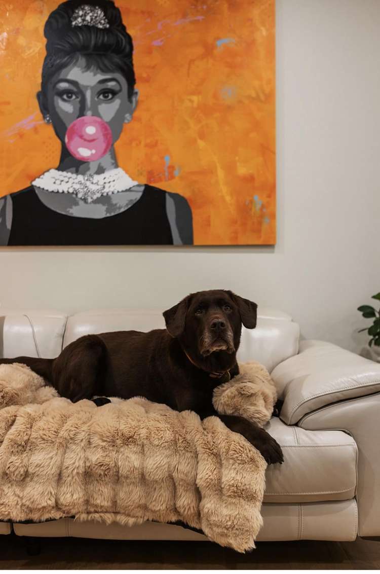 14 John Britten Lane Riccarton_7