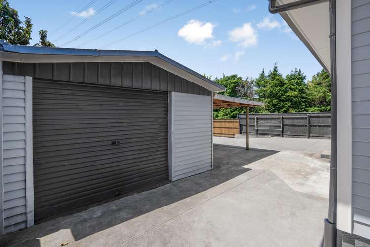 61 Black Beech Street Birchville_16