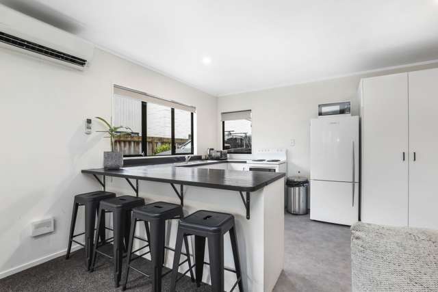 164 Massey Street Frankton_4