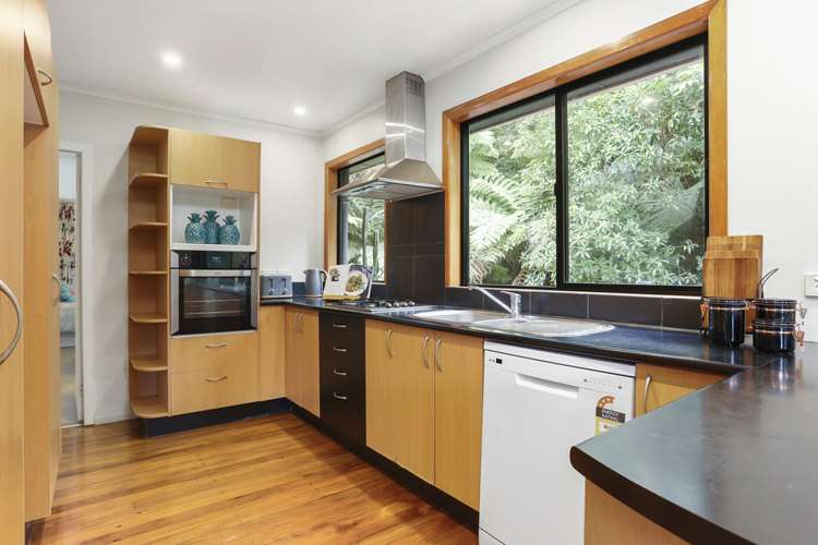 43 Waima Crescent Titirangi_6