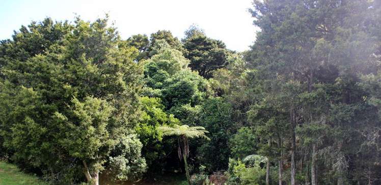 28 Hancock Grove Mangawhai_14