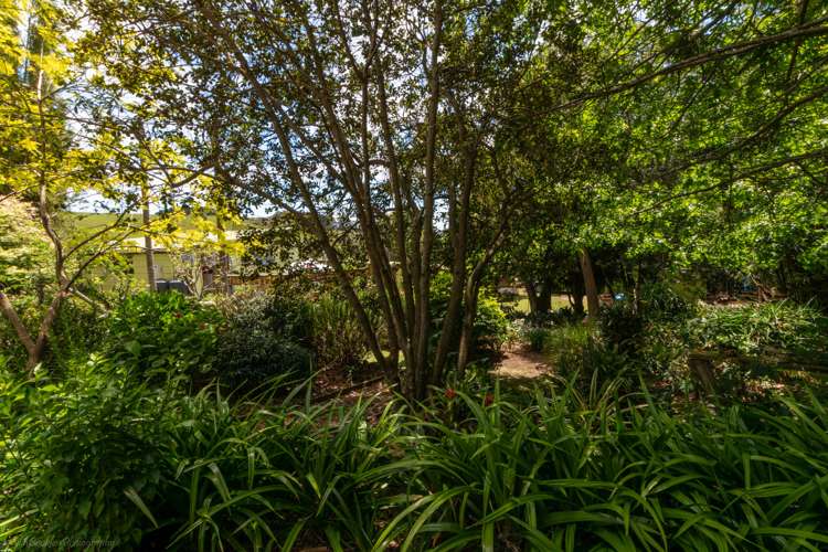 2025 State Highway 1 Awanui_30