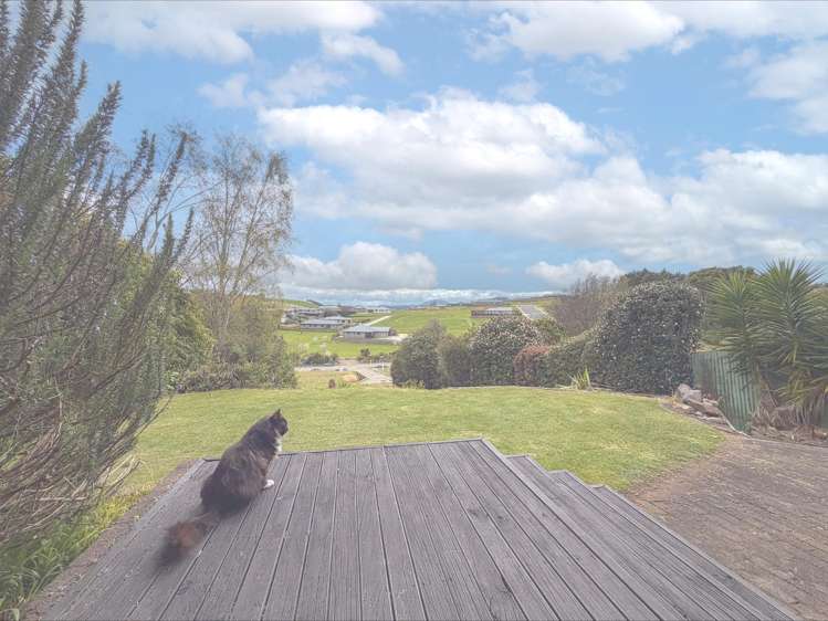39 Main North Road Otorohanga_7