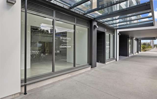 G03/155 Beaumont Street Auckland_1