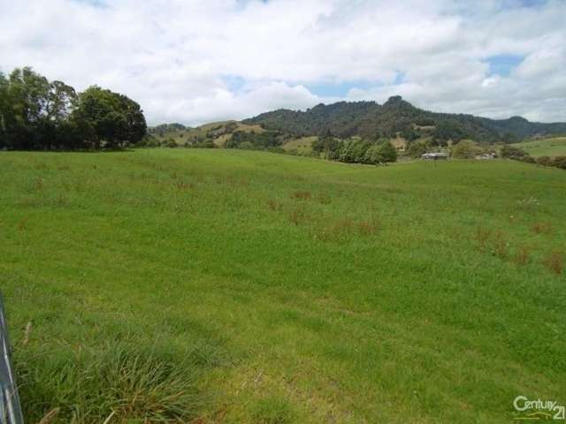 159 Waitetuna Valley Road Raglan_1
