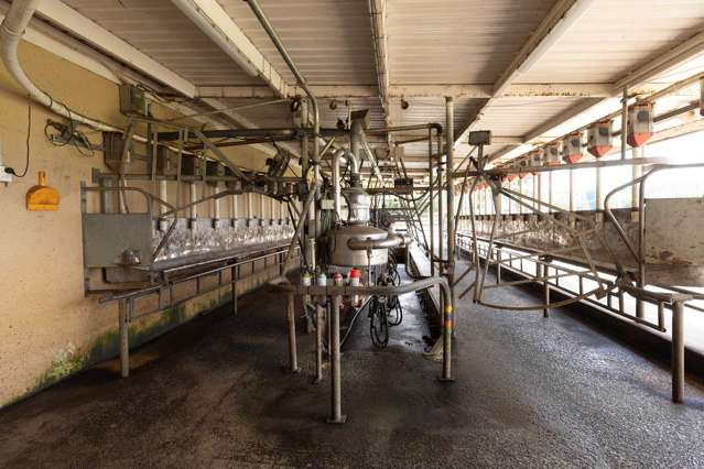 503 Puhipuhi Road Whakapara_2