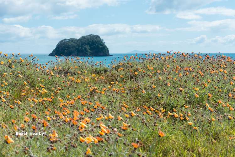 9 Grove Avenue Mount Maunganui_16