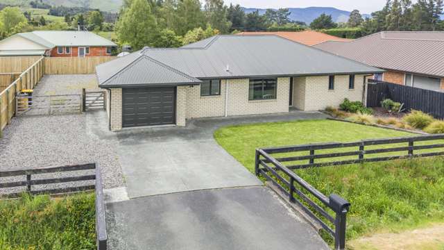 Plenty of Possibilities!