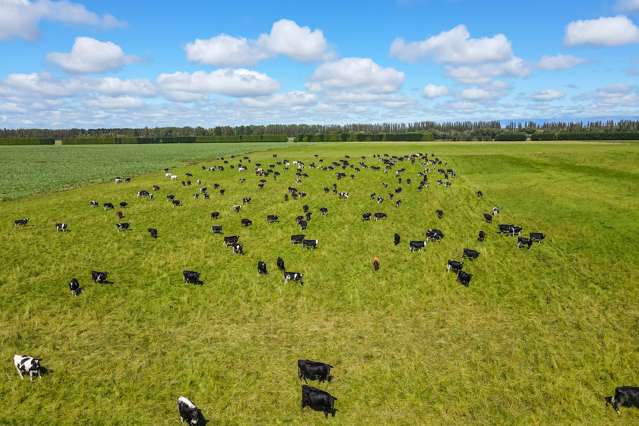 3239 Thompsons Track Ashburton Forks_4