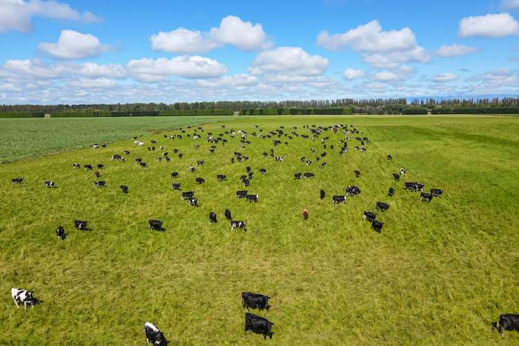 3239 Thompsons Track Ashburton Forks_4