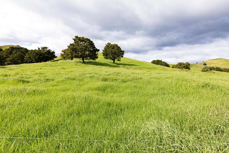 30C Te Ranga Road Kaeo_4