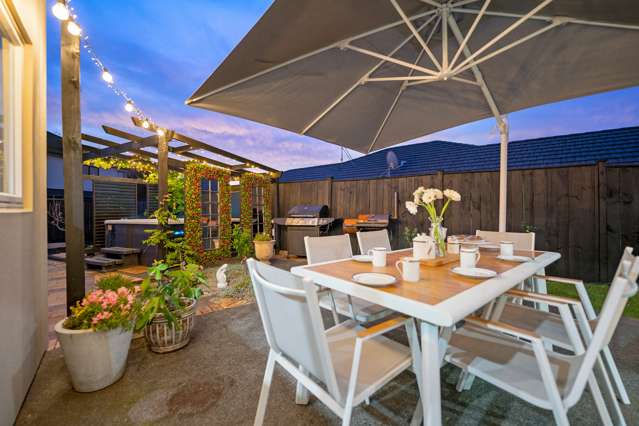 20 Skelligs Drive Flat Bush_1