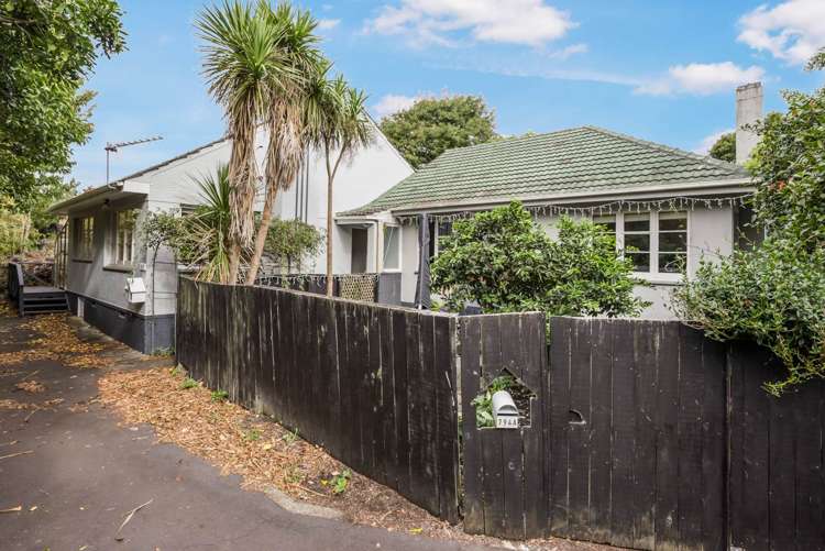 794b Dominion Road Mount Eden_15