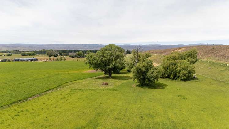 57 Golden Road Alexandra_42