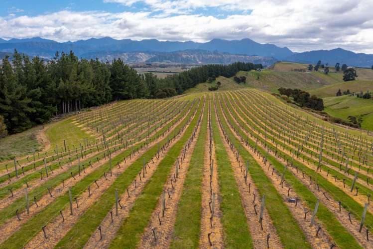 Delta Lake Heights Renwick_11