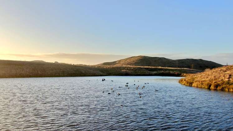 Lot 1-11 & 13-17, 566 Pourerere Road Waipawa_9