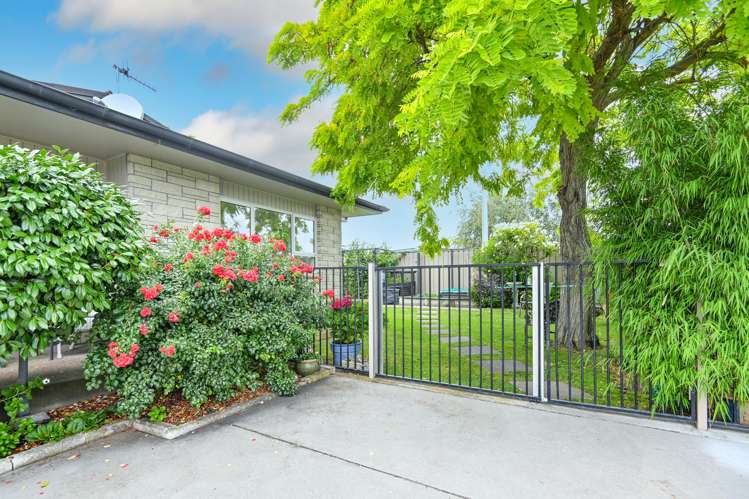 2/90 Napier Road Havelock North_1