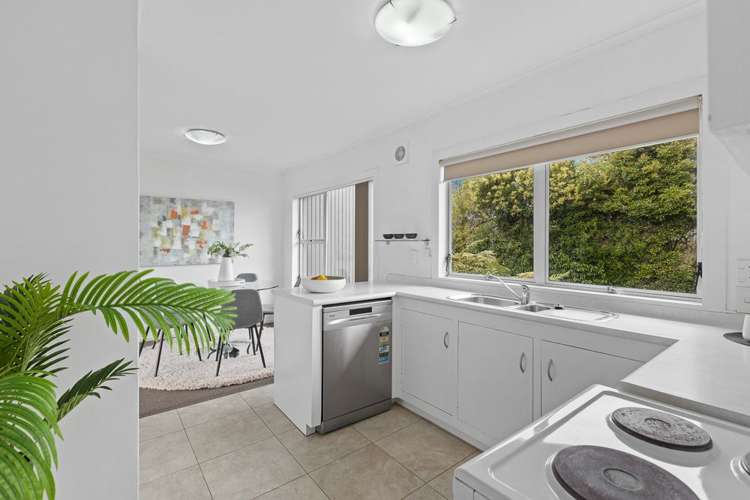 2/50a Taharoto Road Takapuna_7