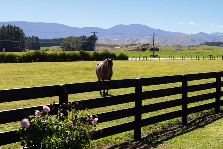 11 Adelaide Road Dannevirke_22